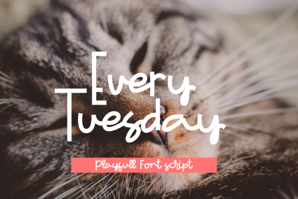Every Tuesday is a fun and relaxed handwritten font that brings a modern yet natural touch to any digital project. As a web designer, I often find myself searching for the perfect typeface that balances creativity with clarity. When I first tested Every Tuesday on a boutique online store, it immediately stood out for its approachable personality and visual warmth.