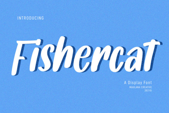 Fishercat: A Cool Handwritten Font for Business