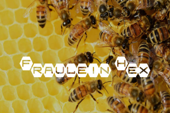 Fraulein Hex: A Creative Font for Web Design