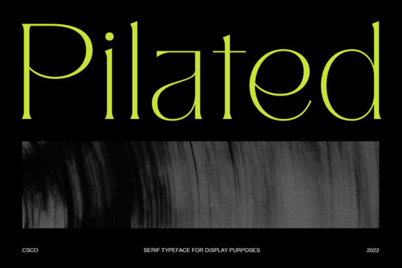 Pilated - Modern Serif Typeface