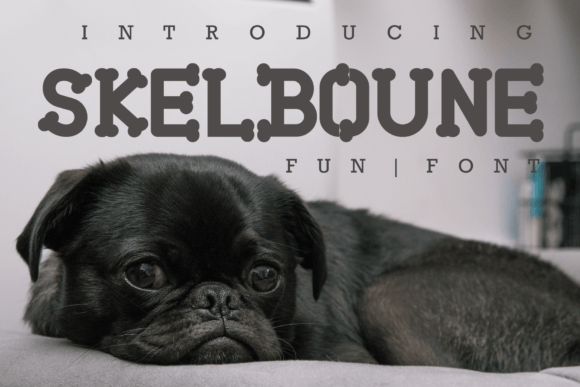 Skelboune: A Playful Serif Font